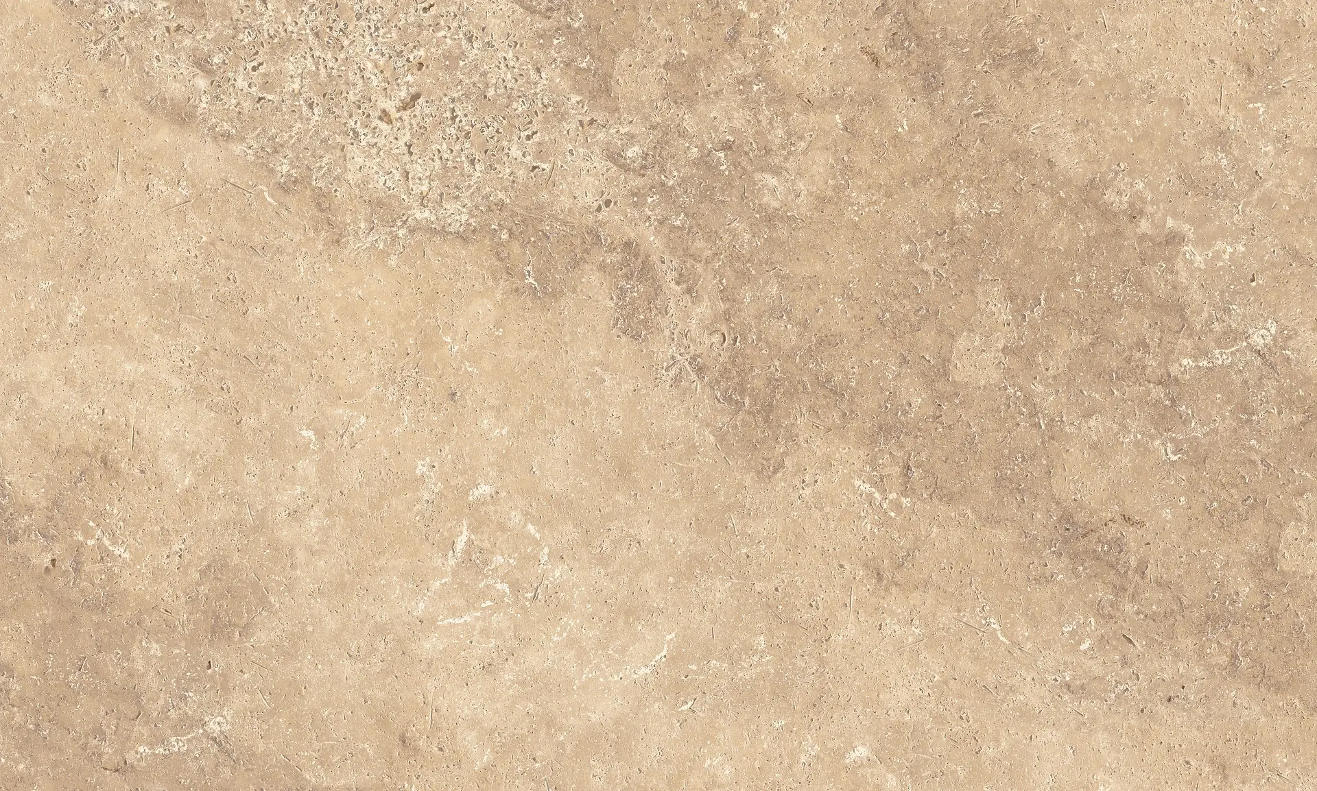 Sénanque (45x75) – Image 5